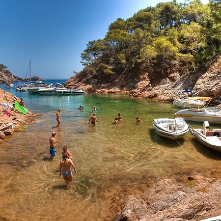 Lets Holidays Cozy House In The Center Of Town Holiday home Tossa de Mar